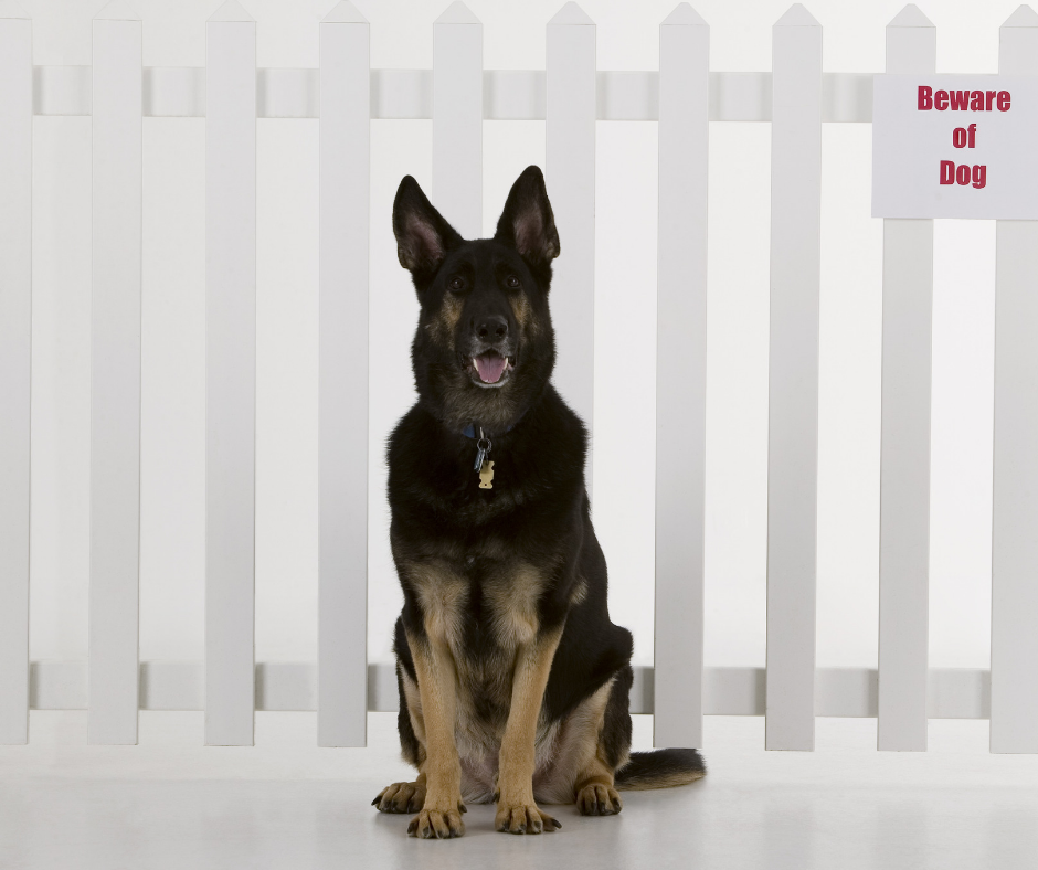 Waakhond tegen inbrekers