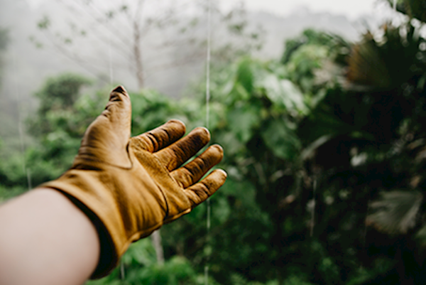 handschoen in de regen