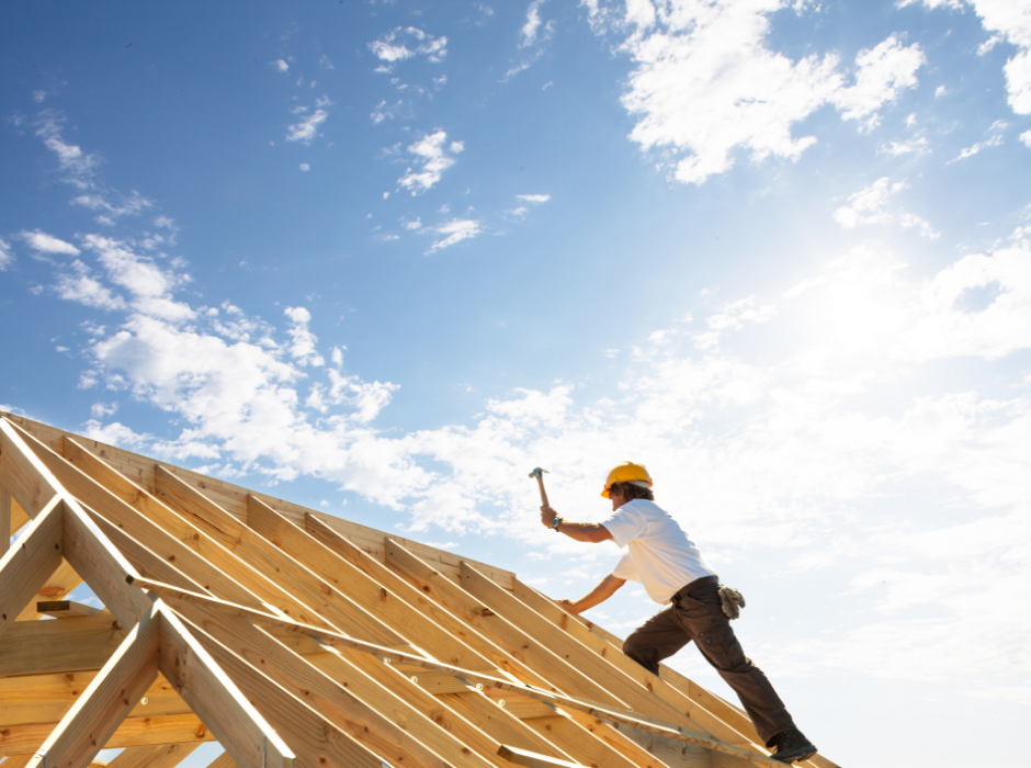 Dakdekker Gezocht met Spoed G n Voorrijkosten Zoofy