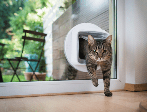 Kattenluik in - Montage inclusief glas - Zoofy