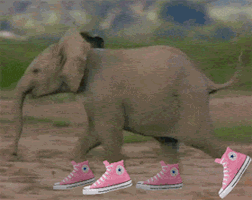 olifant met roze all-stars aan het rennen