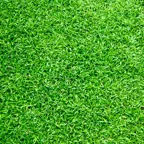 Wat kost het om graszoden te laten leggen?