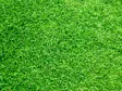Costs of having turf laid