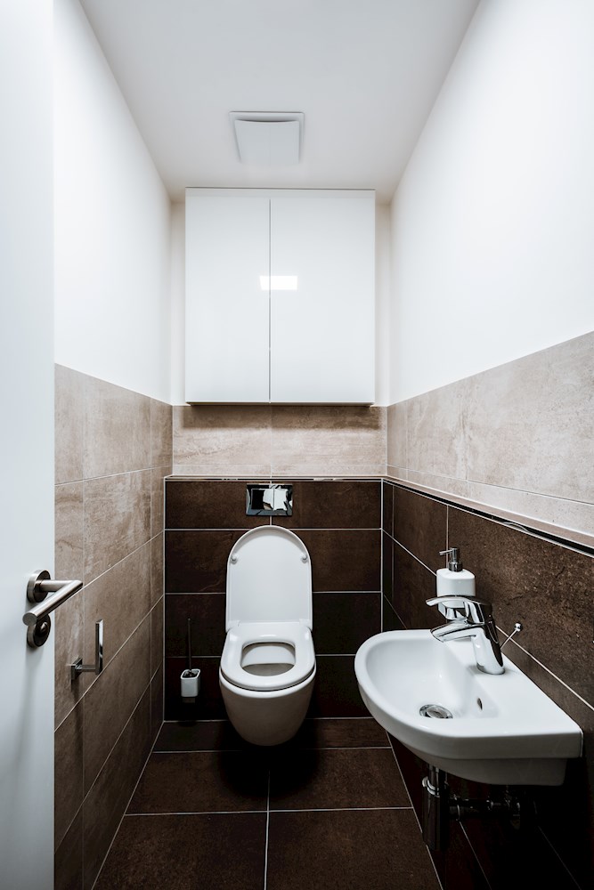 Het pad Verhandeling Post impressionisme Kosten toilet renovatie - Boek nu met korting - Zoofy