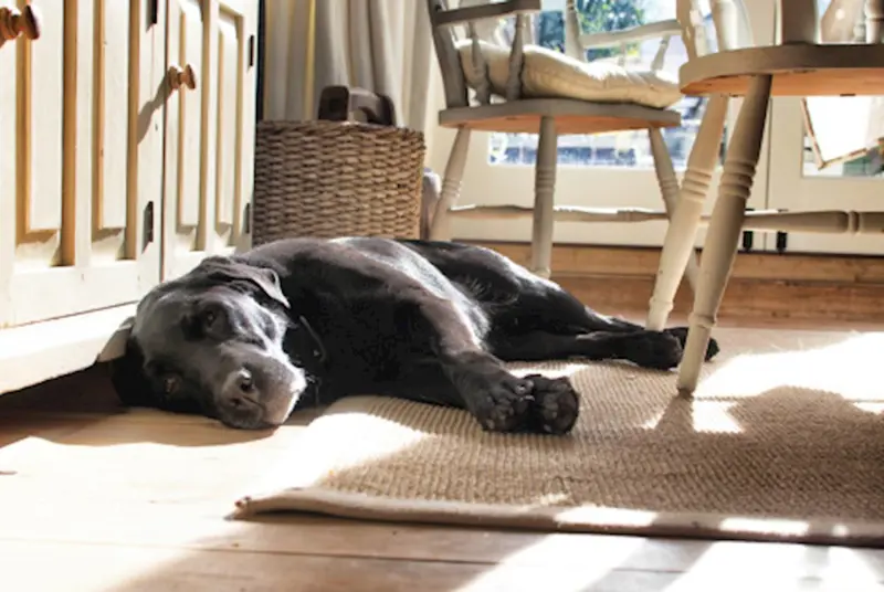 Have underfloor heating milled
