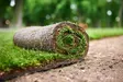Costs of artificial grass 