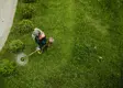 How much does it cost to have garden maintenance carried out?