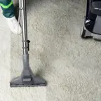 How much does it cost to have your carpet cleaned?