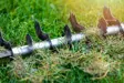 How much does scarifying grass cost?