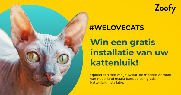 welovecats win kattenluik installatie