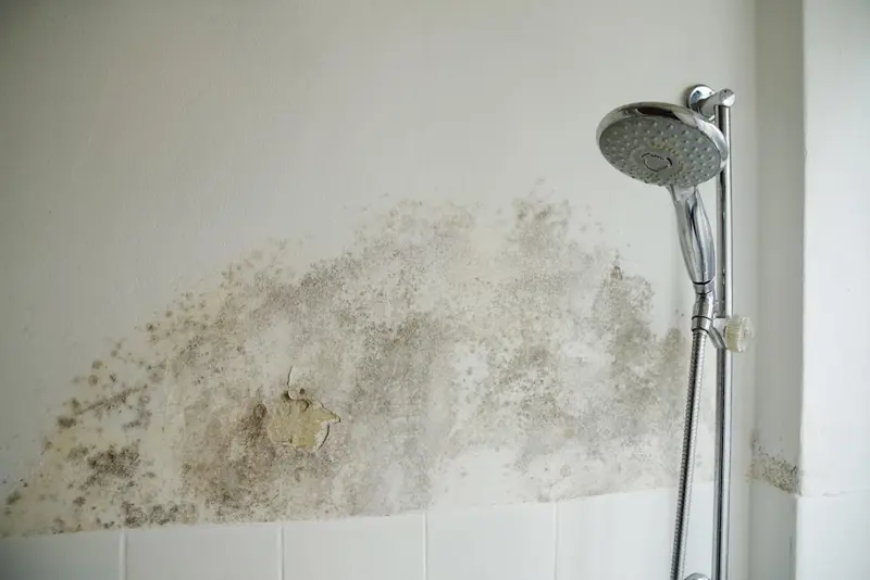 Schimmel voegen badkamer verwijderen