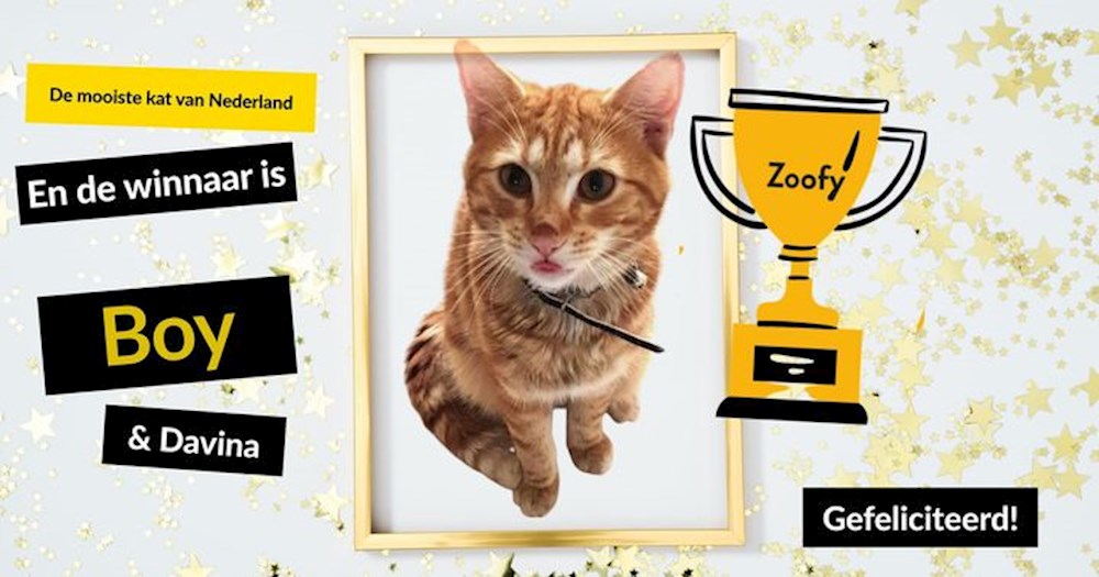 kattenluik wedstrijd winnaar