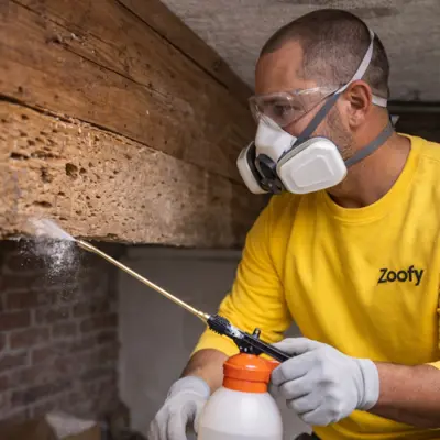 Houtworm laten bestrijden