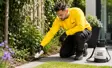 How much does it cost to have ants exterminated?