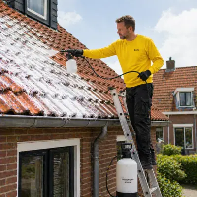 Have roof tiles cleaned with foam
