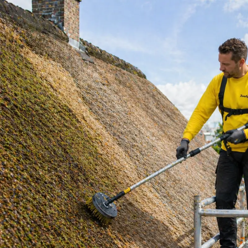 Have a thatched roof cleaned