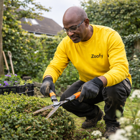 Tuinonderhoud laten uitvoeren