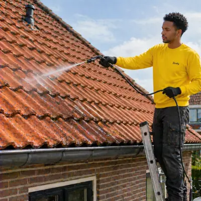 Have roof tiles sprayed