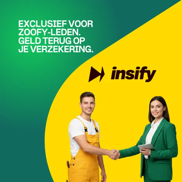 Nieuwe samenwerking: Zoofy x Insify